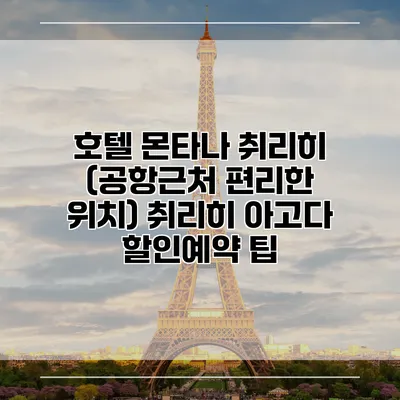 호텔 몬타나 취리히 (공항근처 편리한 위치) 취리히 아고다 할인예약 팁