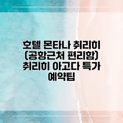 호텔 몬타나 취리히 (공항근처 편리함) 취리히 아고다 특가 예약팁