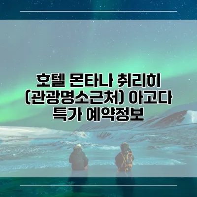 호텔 몬타나 취리히 (관광명소근처) 아고다 특가 예약정보
