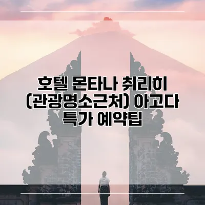 호텔 몬타나 취리히 (관광명소근처) 아고다 특가 예약팁