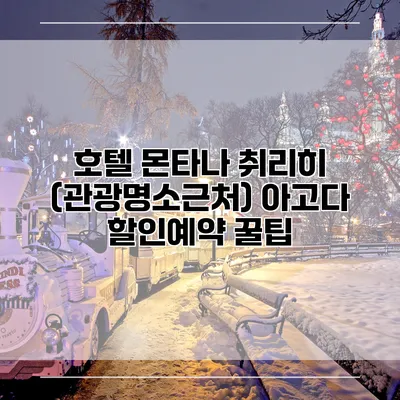 호텔 몬타나 취리히 (관광명소근처) 아고다 할인예약 꿀팁