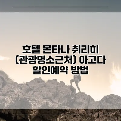 호텔 몬타나 취리히 (관광명소근처) 아고다 할인예약 방법