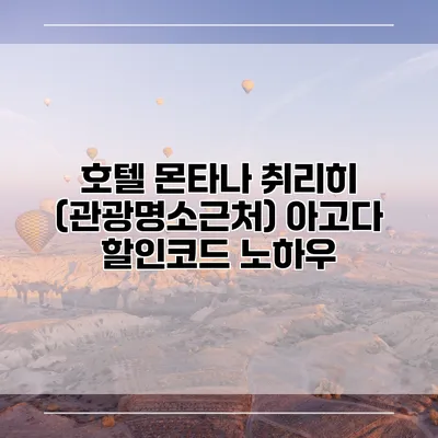 호텔 몬타나 취리히 (관광명소근처) 아고다 할인코드 노하우