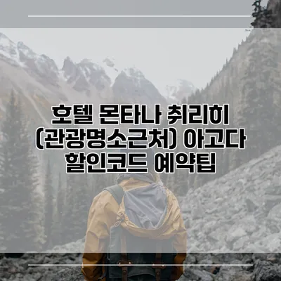 호텔 몬타나 취리히 (관광명소근처) 아고다 할인코드 예약팁