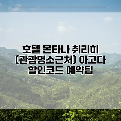호텔 몬타나 취리히 (관광명소근처) 아고다 할인코드 예약팁