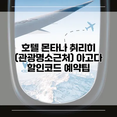 호텔 몬타나 취리히 (관광명소근처) 아고다 할인코드 예약팁