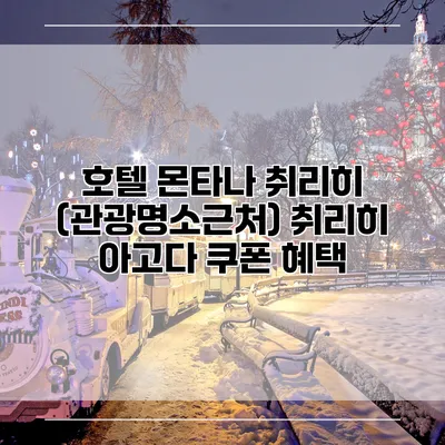 호텔 몬타나 취리히 (관광명소근처) 취리히 아고다 쿠폰 혜택