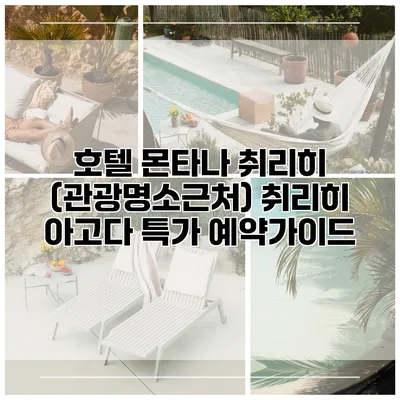 호텔 몬타나 취리히 (관광명소근처) 취리히 아고다 특가 예약가이드