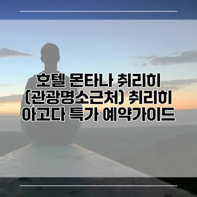 호텔 몬타나 취리히 (관광명소근처) 취리히 아고다 특가 예약가이드