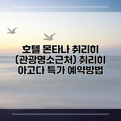호텔 몬타나 취리히 (관광명소근처) 취리히 아고다 특가 예약방법