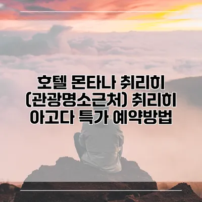 호텔 몬타나 취리히 (관광명소근처) 취리히 아고다 특가 예약방법