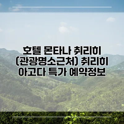 호텔 몬타나 취리히 (관광명소근처) 취리히 아고다 특가 예약정보