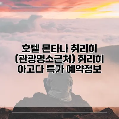 호텔 몬타나 취리히 (관광명소근처) 취리히 아고다 특가 예약정보