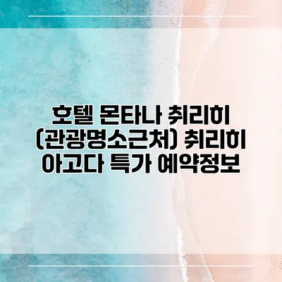 호텔 몬타나 취리히 (관광명소근처) 취리히 아고다 특가 예약정보