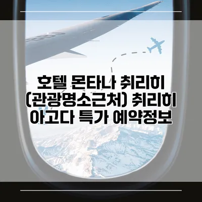 호텔 몬타나 취리히 (관광명소근처) 취리히 아고다 특가 예약정보