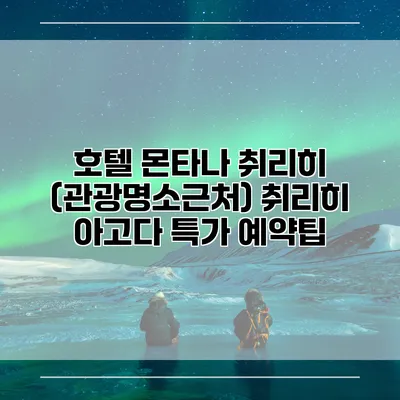 호텔 몬타나 취리히 (관광명소근처) 취리히 아고다 특가 예약팁