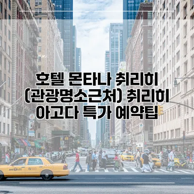 호텔 몬타나 취리히 (관광명소근처) 취리히 아고다 특가 예약팁
