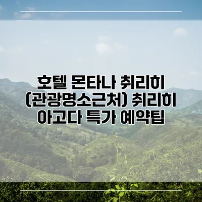 호텔 몬타나 취리히 (관광명소근처) 취리히 아고다 특가 예약팁