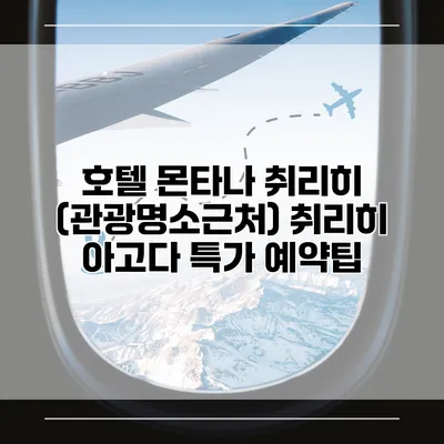 호텔 몬타나 취리히 (관광명소근처) 취리히 아고다 특가 예약팁
