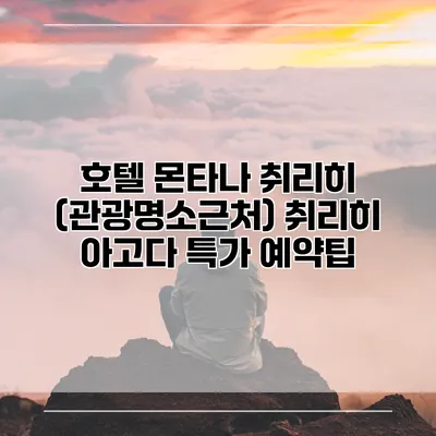 호텔 몬타나 취리히 (관광명소근처) 취리히 아고다 특가 예약팁