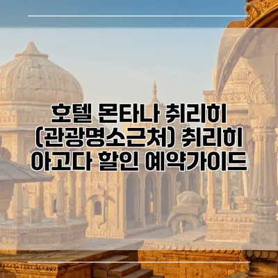 호텔 몬타나 취리히 (관광명소근처) 취리히 아고다 할인 예약가이드
