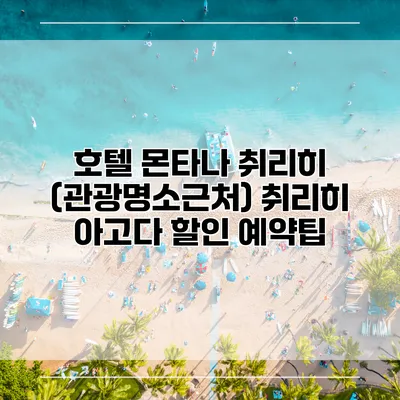 호텔 몬타나 취리히 (관광명소근처) 취리히 아고다 할인 예약팁