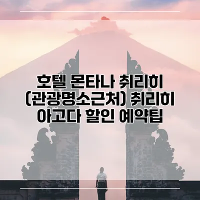 호텔 몬타나 취리히 (관광명소근처) 취리히 아고다 할인 예약팁