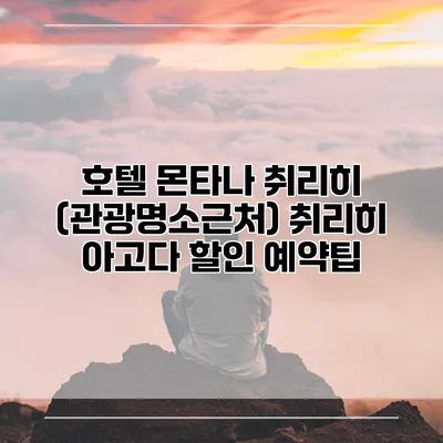 호텔 몬타나 취리히 (관광명소근처) 취리히 아고다 할인 예약팁