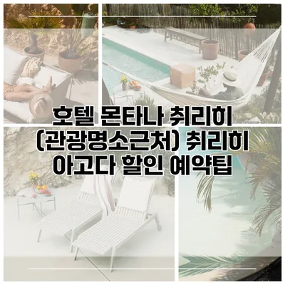 호텔 몬타나 취리히 (관광명소근처) 취리히 아고다 할인 예약팁