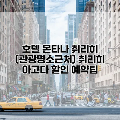호텔 몬타나 취리히 (관광명소근처) 취리히 아고다 할인 예약팁