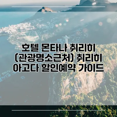 호텔 몬타나 취리히 (관광명소근처) 취리히 아고다 할인예약 가이드