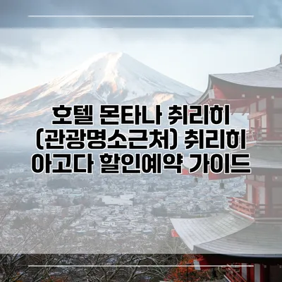 호텔 몬타나 취리히 (관광명소근처) 취리히 아고다 할인예약 가이드