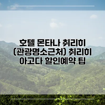 호텔 몬타나 취리히 (관광명소근처) 취리히 아고다 할인예약 팁