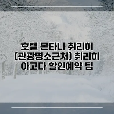 호텔 몬타나 취리히 (관광명소근처) 취리히 아고다 할인예약 팁