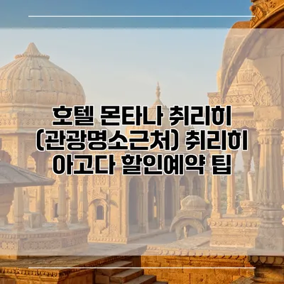 호텔 몬타나 취리히 (관광명소근처) 취리히 아고다 할인예약 팁