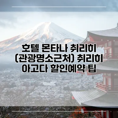 호텔 몬타나 취리히 (관광명소근처) 취리히 아고다 할인예약 팁
