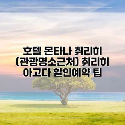 호텔 몬타나 취리히 (관광명소근처) 취리히 아고다 할인예약 팁