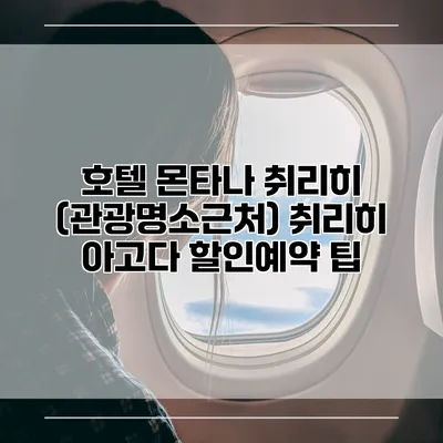호텔 몬타나 취리히 (관광명소근처) 취리히 아고다 할인예약 팁
