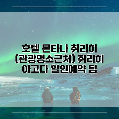 호텔 몬타나 취리히 (관광명소근처) 취리히 아고다 할인예약 팁