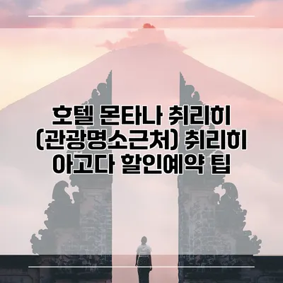 호텔 몬타나 취리히 (관광명소근처) 취리히 아고다 할인예약 팁