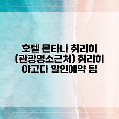 호텔 몬타나 취리히 (관광명소근처) 취리히 아고다 할인예약 팁
