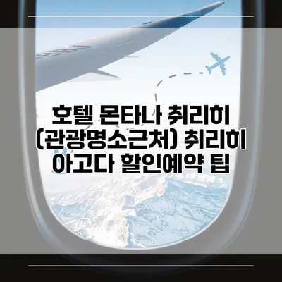 호텔 몬타나 취리히 (관광명소근처) 취리히 아고다 할인예약 팁