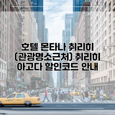 호텔 몬타나 취리히 (관광명소근처) 취리히 아고다 할인코드 안내