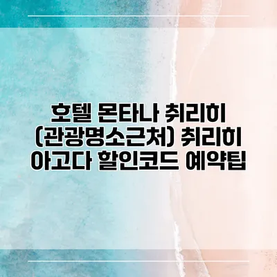 호텔 몬타나 취리히 (관광명소근처) 취리히 아고다 할인코드 예약팁