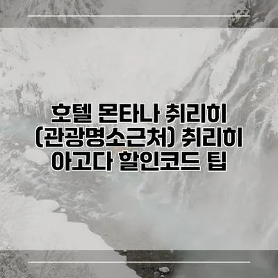 호텔 몬타나 취리히 (관광명소근처) 취리히 아고다 할인코드 팁