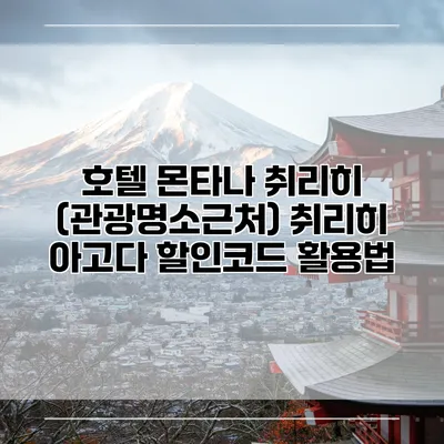 호텔 몬타나 취리히 (관광명소근처) 취리히 아고다 할인코드 활용법