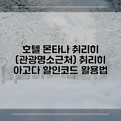 호텔 몬타나 취리히 (관광명소근처) 취리히 아고다 할인코드 활용법