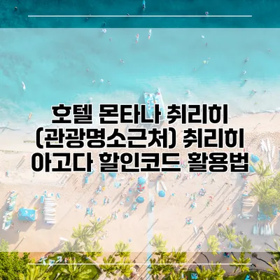 호텔 몬타나 취리히 (관광명소근처) 취리히 아고다 할인코드 활용법