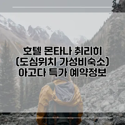 호텔 몬타나 취리히 (도심위치 가성비숙소) 아고다 특가 예약정보