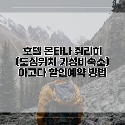 호텔 몬타나 취리히 (도심위치 가성비숙소) 아고다 할인예약 방법